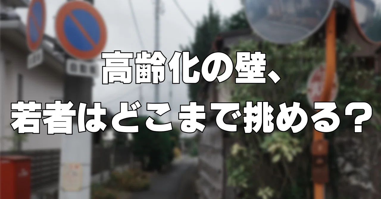 少子 高齢 化 若者 が できること
