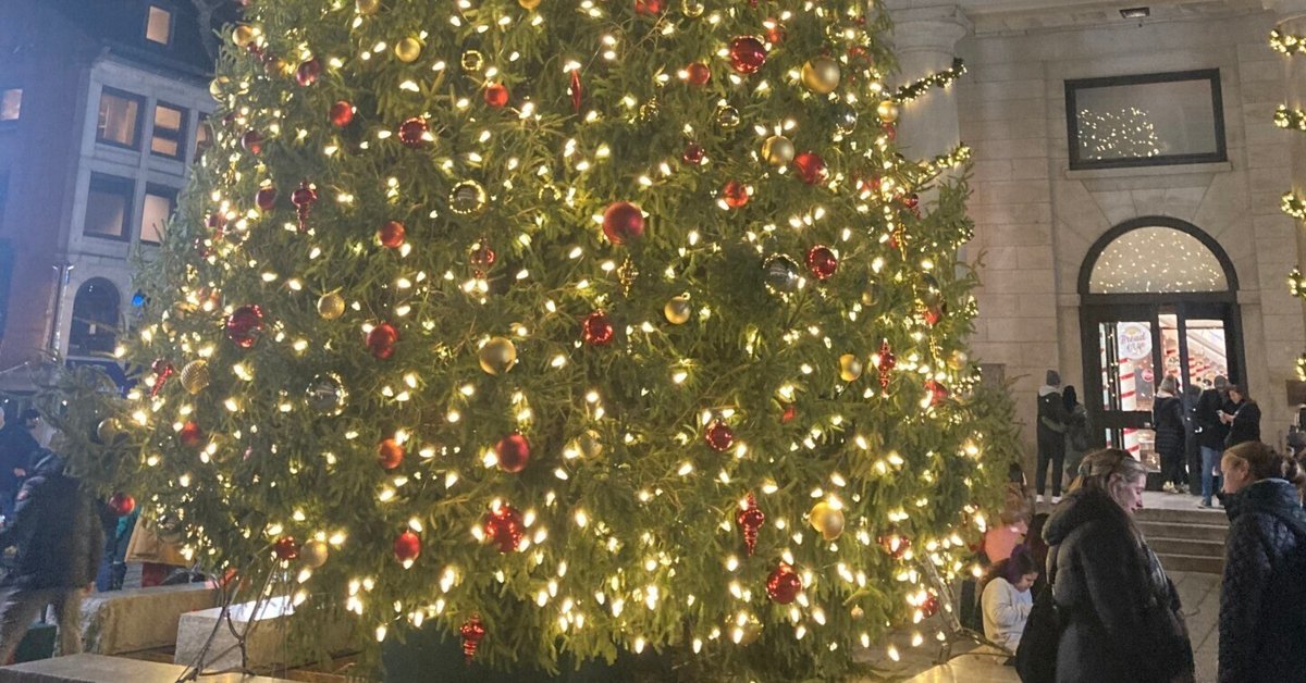 ☆希少レア ☆クリスマスバージョン ビッグサイズ ペンギン電飾イルミネーション ボストンの冬・イルミネーション - #アメリカで生きる｜ペンギン