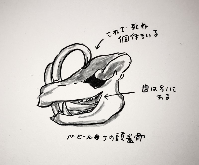 絶対に実用的ではない ギャグ 水野しず Note 絶対に実用的ではない ギャグ 水野しず Note