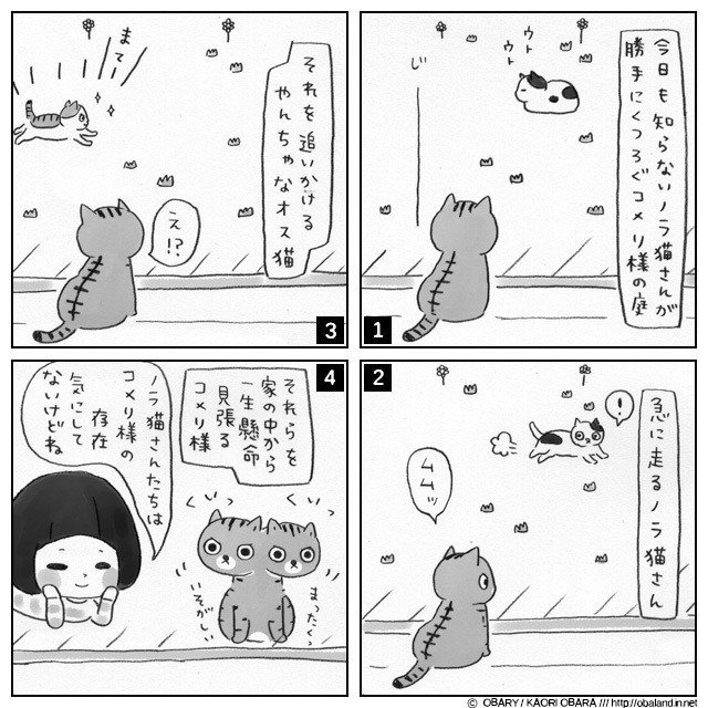 #ねこ #ネコ #猫 #イラスト #絵日記 #4コマ #ペット LINEスタンプ / http://line.me/S/sticker/1006209 猫様で検索 ;)