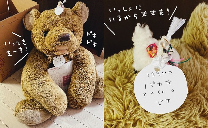 30年近く一緒に過ごした家族が ぬいぐるみ病院に入院した話 冨田 マリー Note 30年近く一緒に過ごした家族が ぬいぐるみ病院に入院した話 冨田 マリー Note