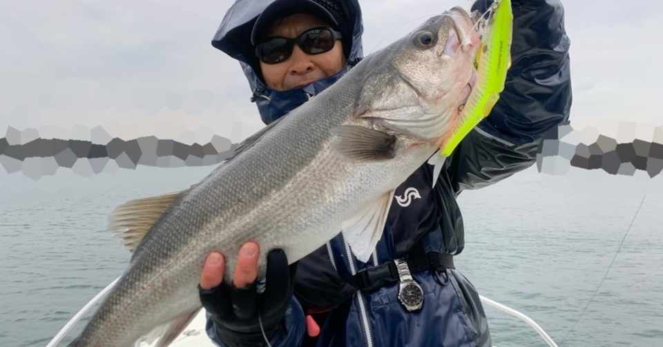 12月7日 土 ランカーシーバス午後便釣果 Bayworkstokyofishing Note