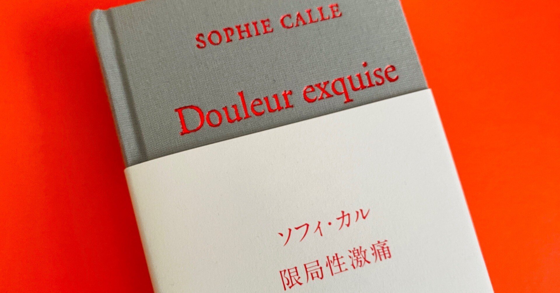 ソフィ・カル作品集『限局性激痛』邦訳冊子付き ソフィ・カル作品集