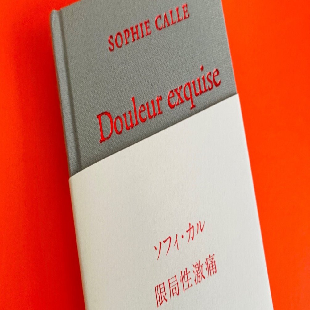 読書コラム】死ぬほど辛い失恋の悲しみが回復していく過程を記録した