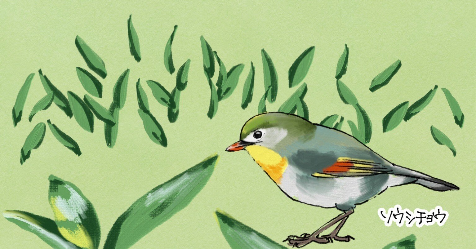 ササやぶ暮らしのソウシチョウ｜くますけ｜自然ガイド・クリエイター