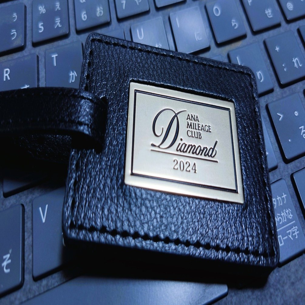 実録】ANAダイヤモンド会員への道2024／11月16日（第26回）｜菅野ノリヒコ