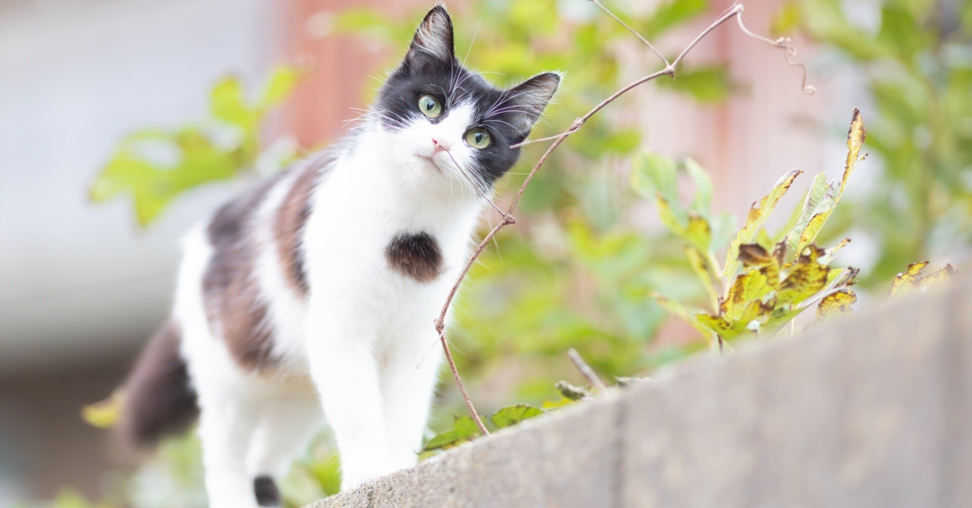 512622cebb605d00fcb8f960f8fa9b