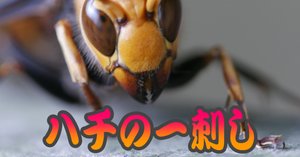 rectangle_large_type_2_65b4041