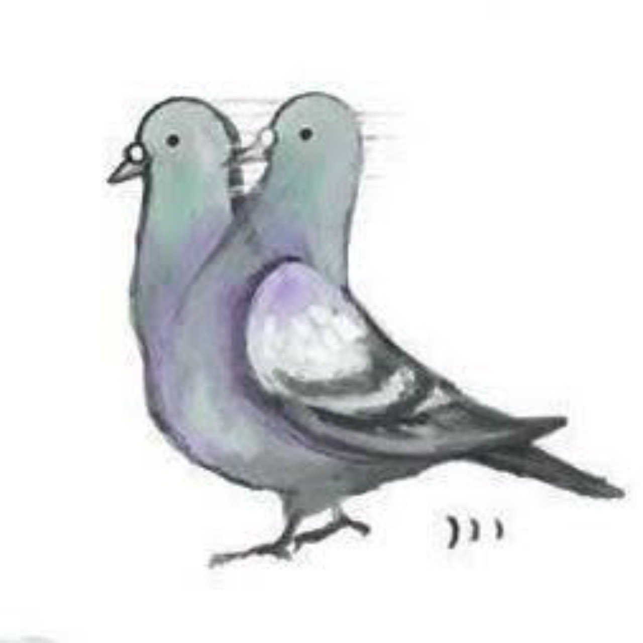 第690回 首を振って歩く鳥 翆野 大地 Note