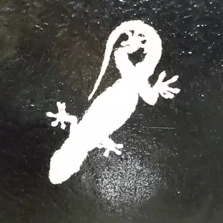 須藤 陸