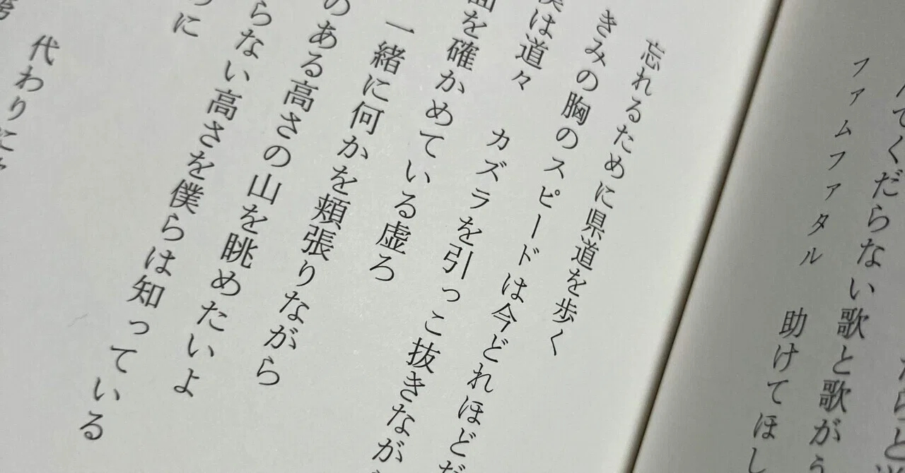 岸田将幸『風の領分』の感想文｜soya shibata