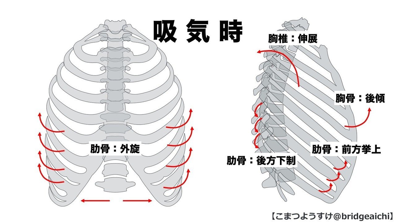 なぜ今 呼吸が重視されるの だいじろう カラダの教科書編集長 Note
