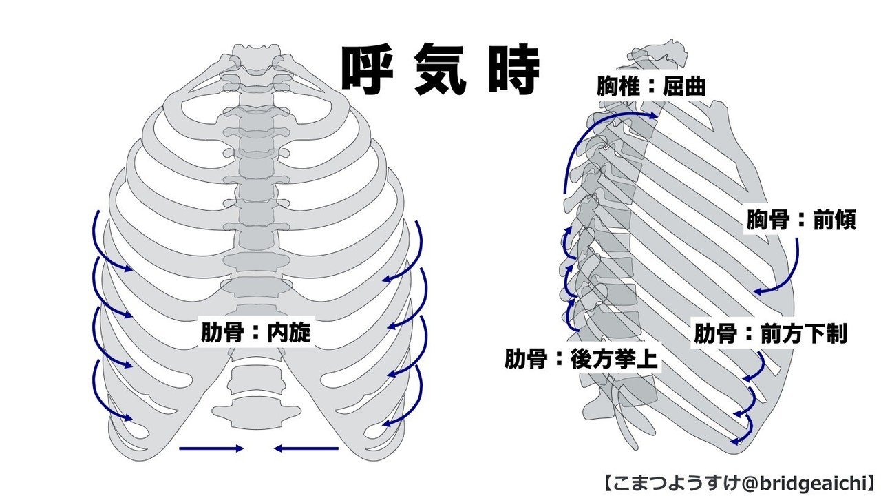 なぜ今 呼吸が重視されるの だいじろう カラダの教科書編集長 Note