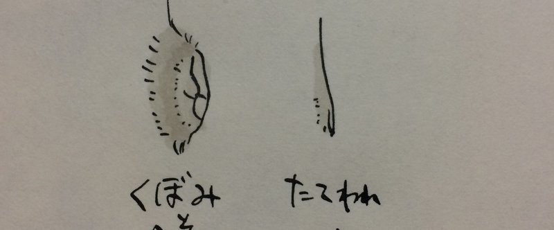 書かなくてもいいこと へそ 宝生乱汰 宝生浮紀 Note