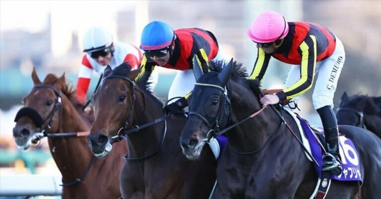 見ごたえありました！有馬記念 【レガレイラ＆戸崎圭太騎手】優勝