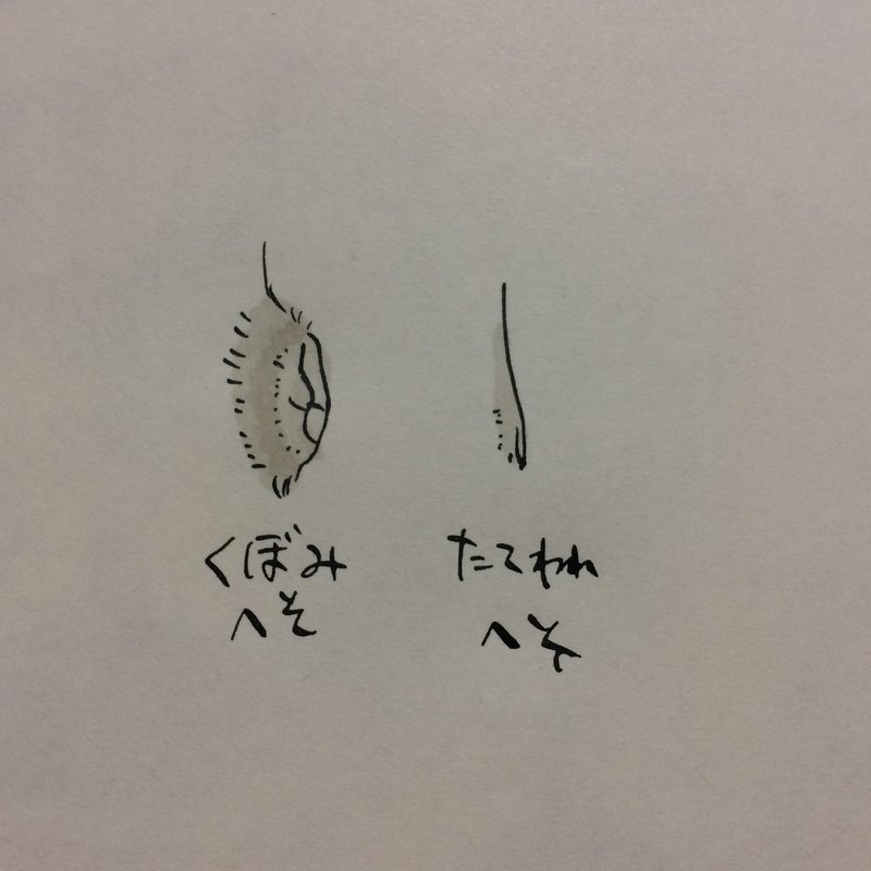 書かなくてもいいこと へそ 宝生乱汰 宝生浮紀 Note