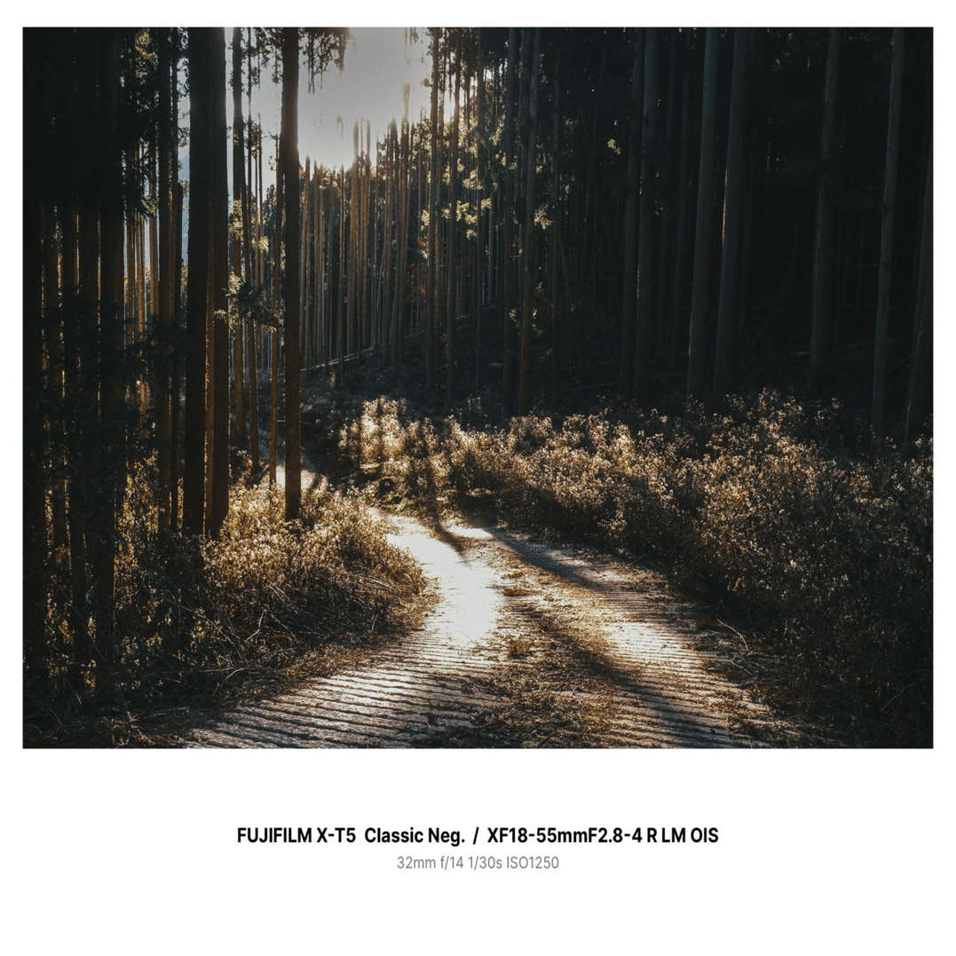 color#12】X-T5×クラシックネガでフィルムライクに撮る海辺の風景