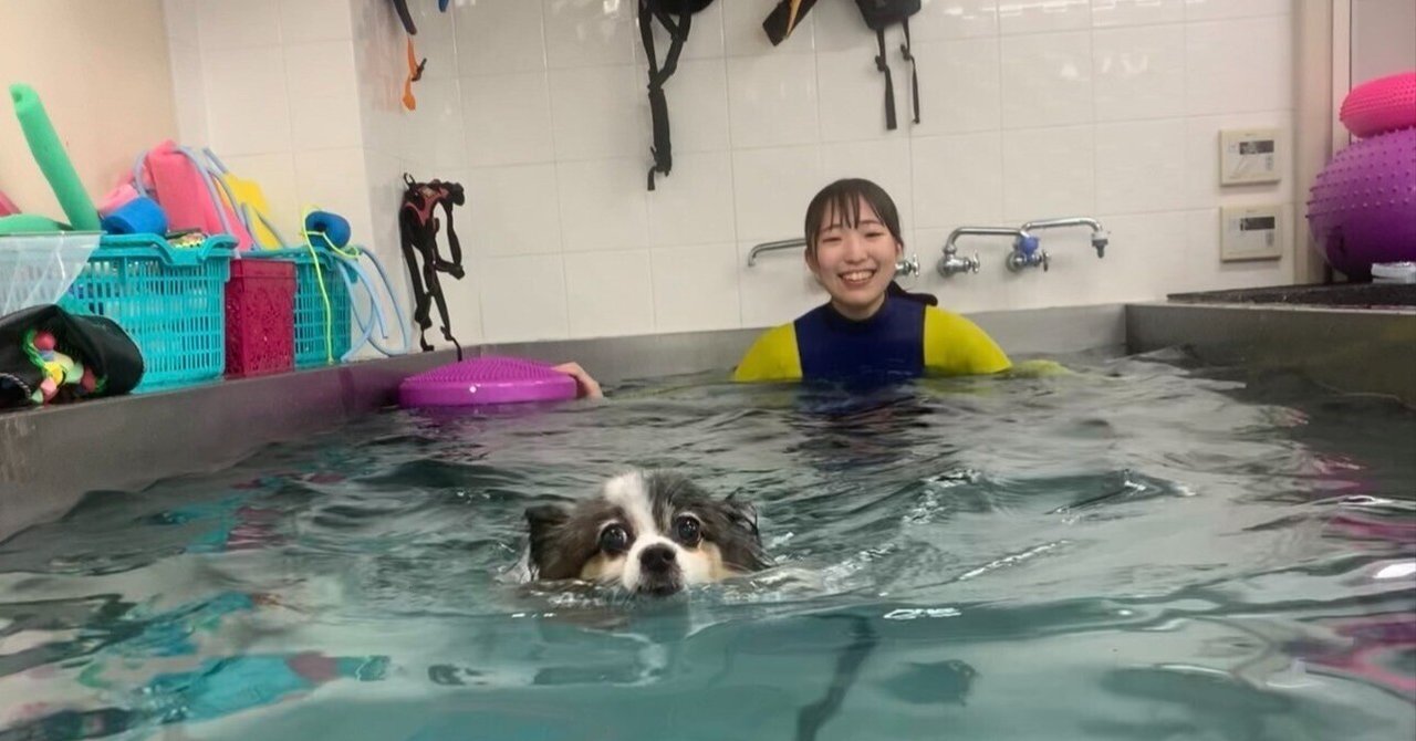 素人　看護婦　おばさん お仕事インタビュー＃４ 目標を持たない動物看護師が見つけた生き方のヒント｜good;