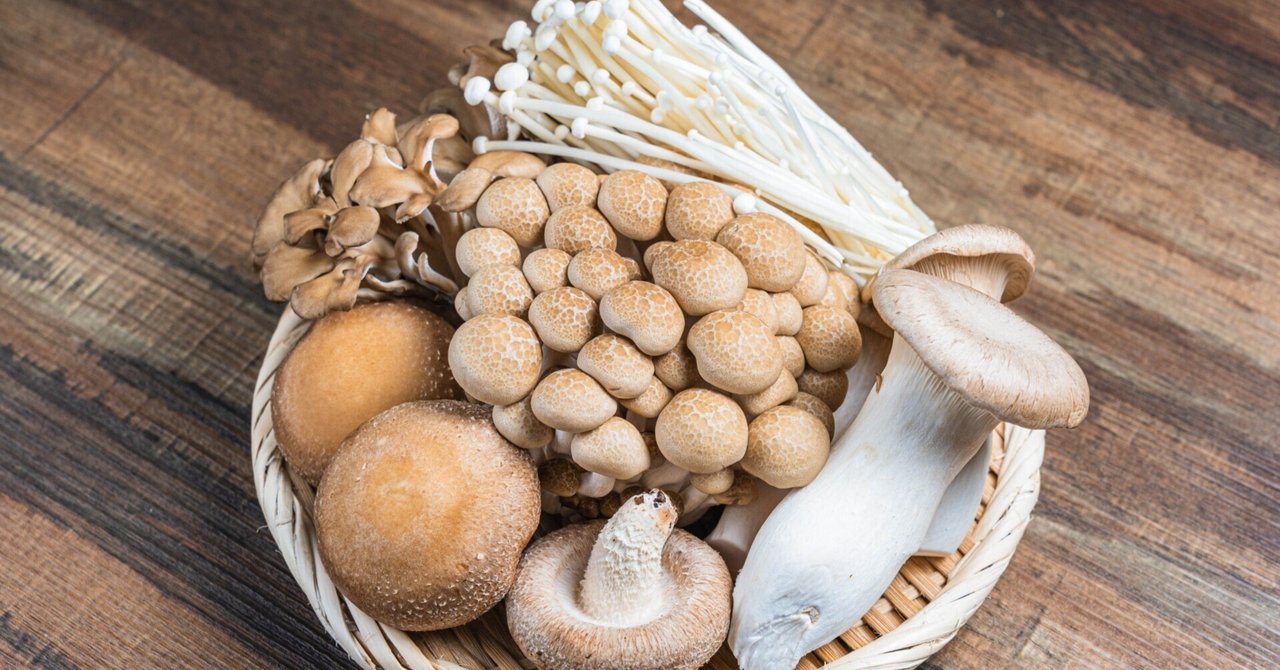 なめこ 10kg 【公式通販】