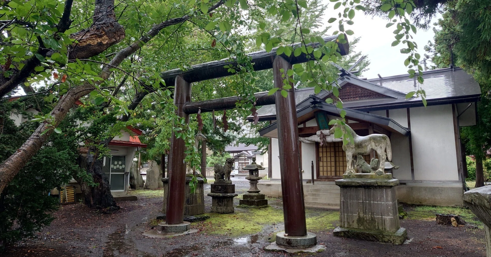ふら いん ぐ うぃ っ ち 聖地