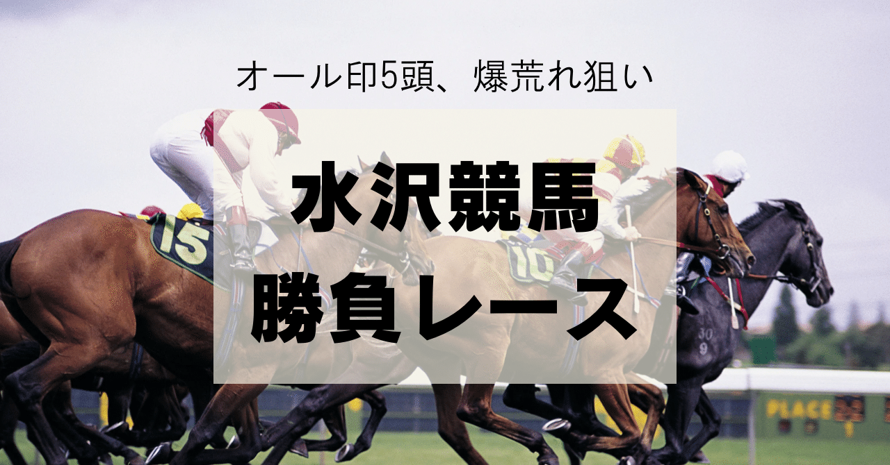 12/24 水沢勝負レースセット