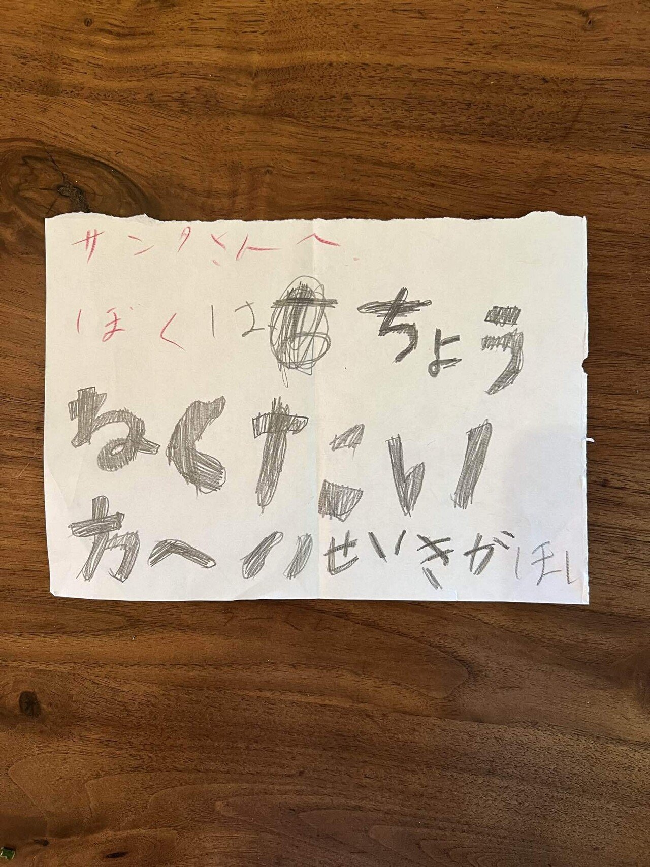 サンタさんへのリクエストがAmazon仕様すぎた件｜大塚ぐみ