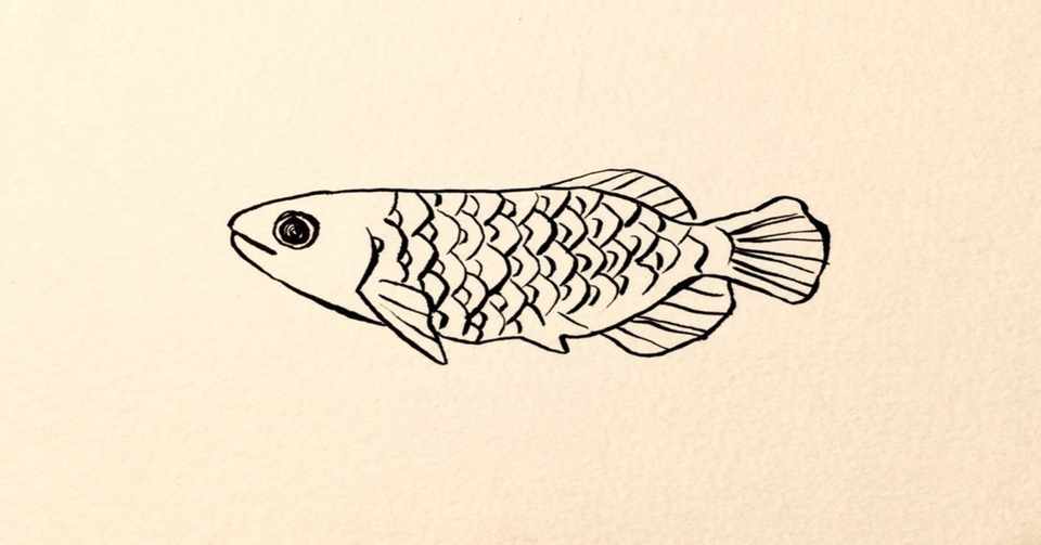 Images Of みだらな熱帯魚 Japaneseclass Jp Images Of みだらな熱帯魚 Japaneseclass Jp