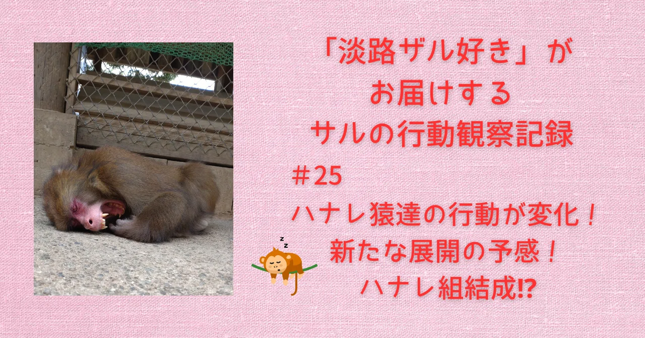 ななサル 25 ハナレ猿達の行動が変化！新たな展開の予感！ハナレ組結成⁉｜sora.11