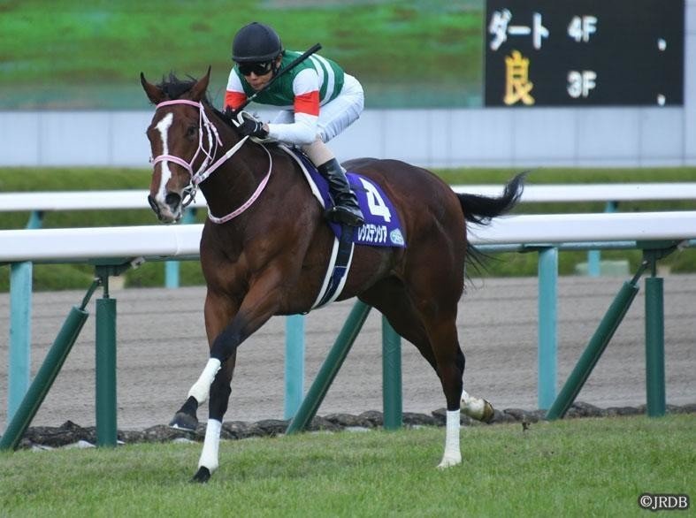 阪神ジュベナイルフィリーズ 優勝馬 レシステンシア｜JRDB 競馬