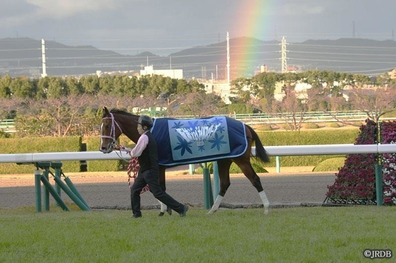 阪神ジュベナイルフィリーズ 優勝馬 レシステンシア｜JRDB 競馬アラカルト