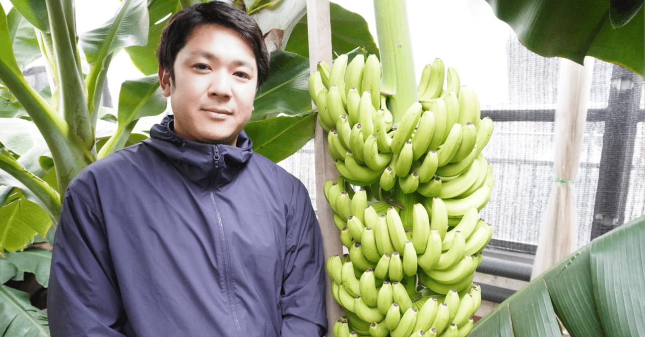 メルカリ史上初=超極太◆セニョリータバナナ、120㎝◆美味しすぎて、食べすぎ注意 メルカリ史上初◇美味しすぎて、食べすぎ注意.セニョリータバナナ、120