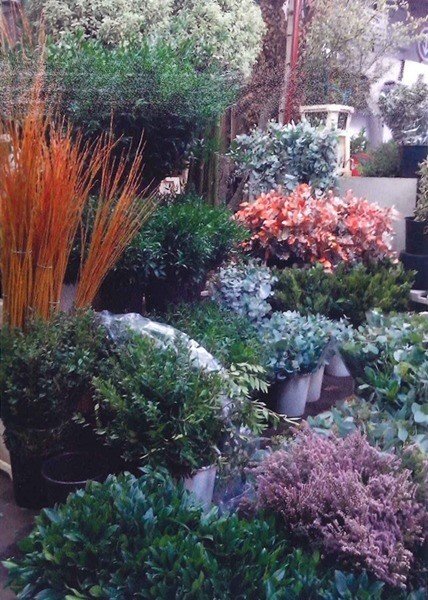 パリの花留学 Aoyama Flower Market Paris Report Note