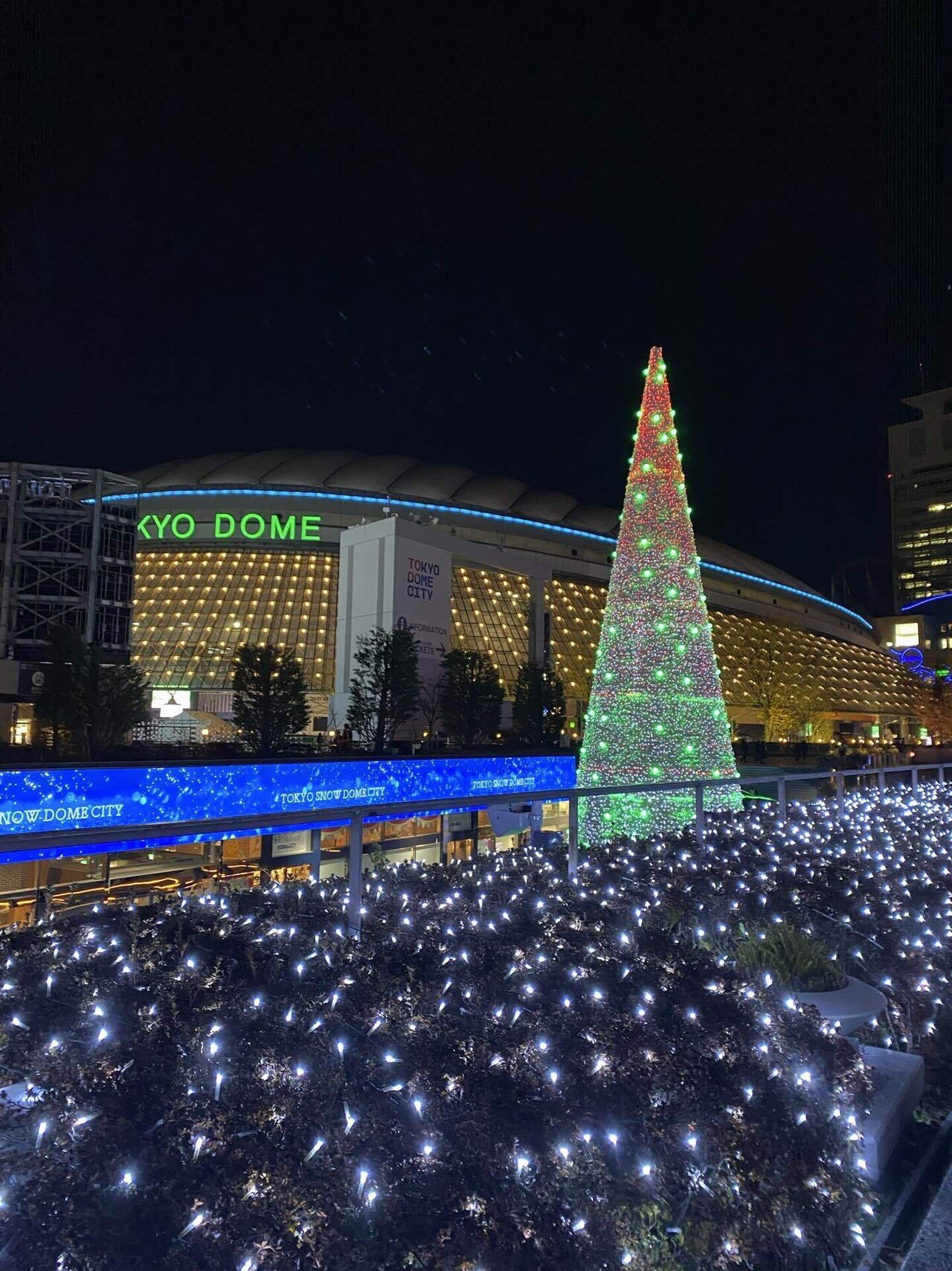 イッカネズミ　2024クリスマス イッカネズミ 2024クリスマス - メルカリ