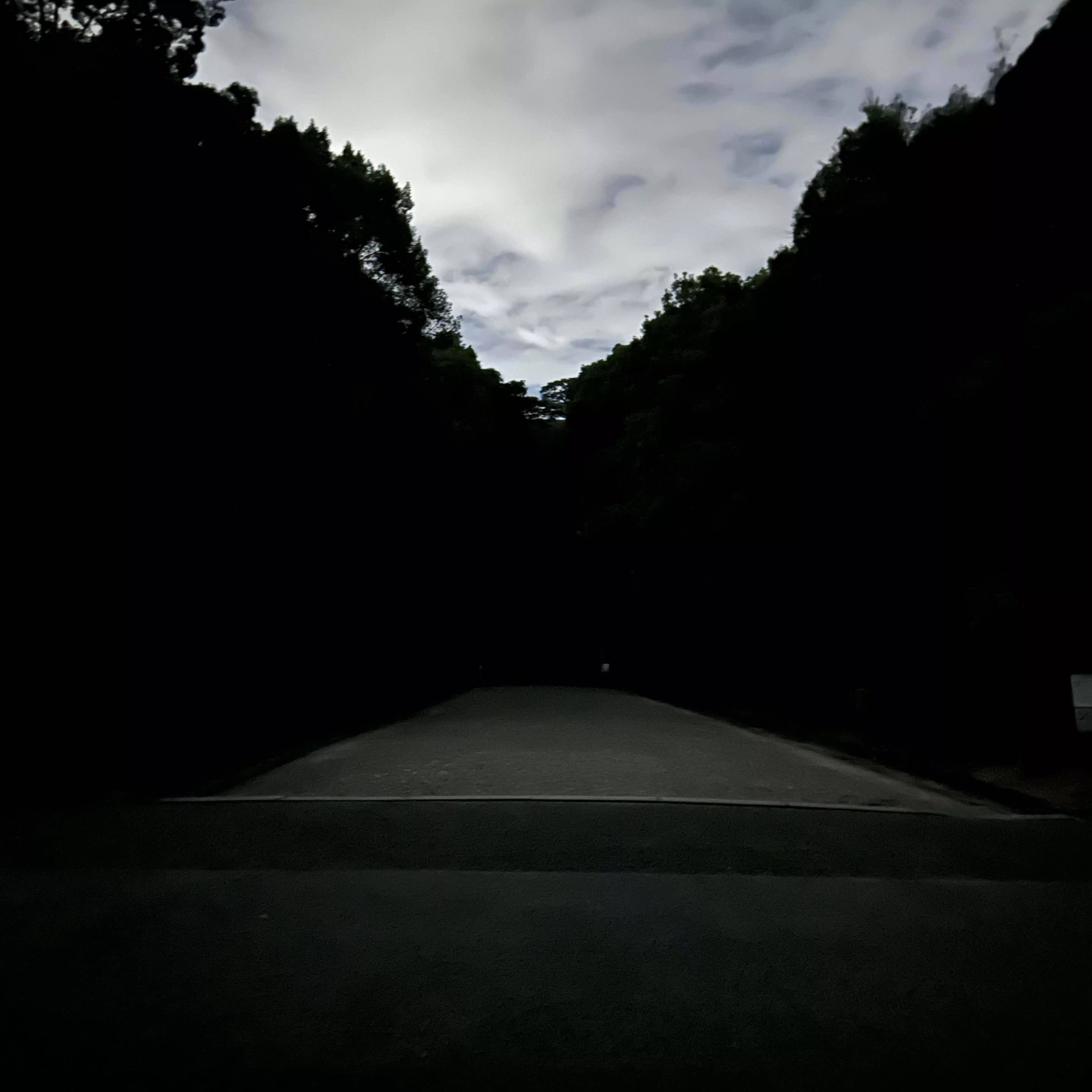 莉紗