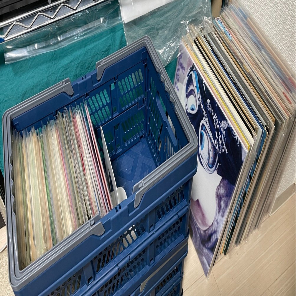 レコード生活中級編 その4 ～'24下半期のdigまとめ編～｜なおき