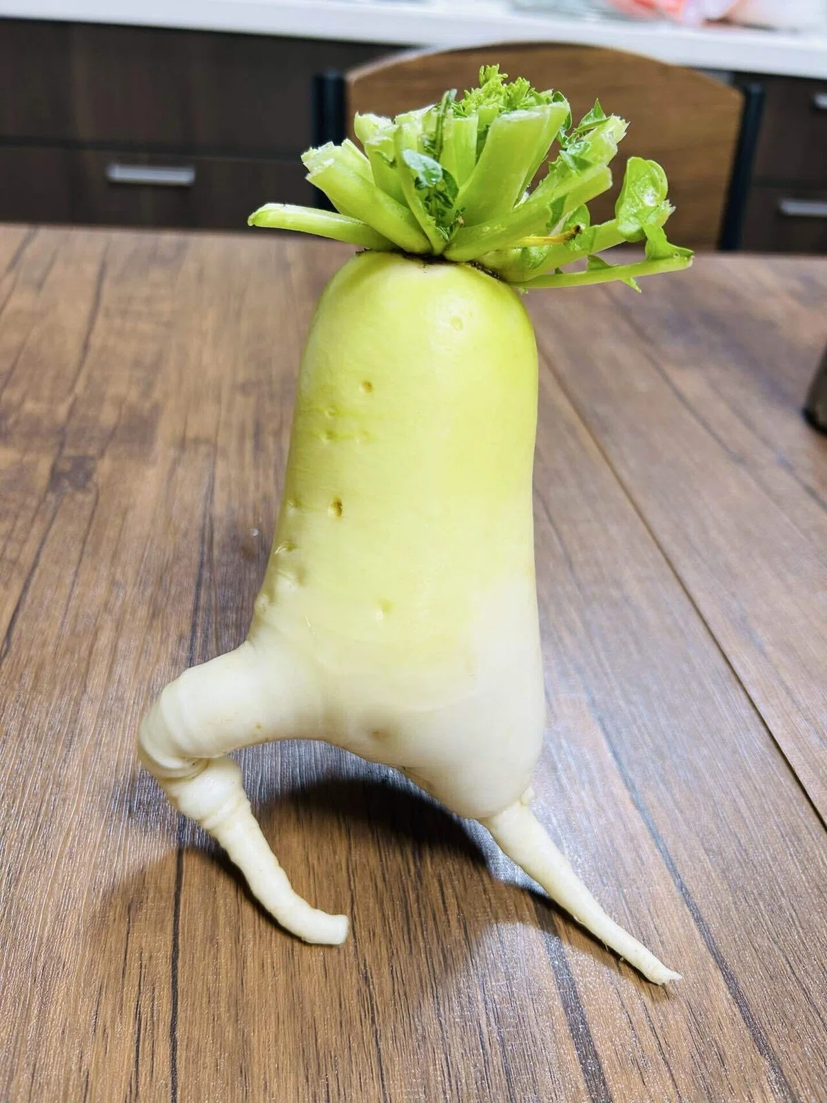 走る大根