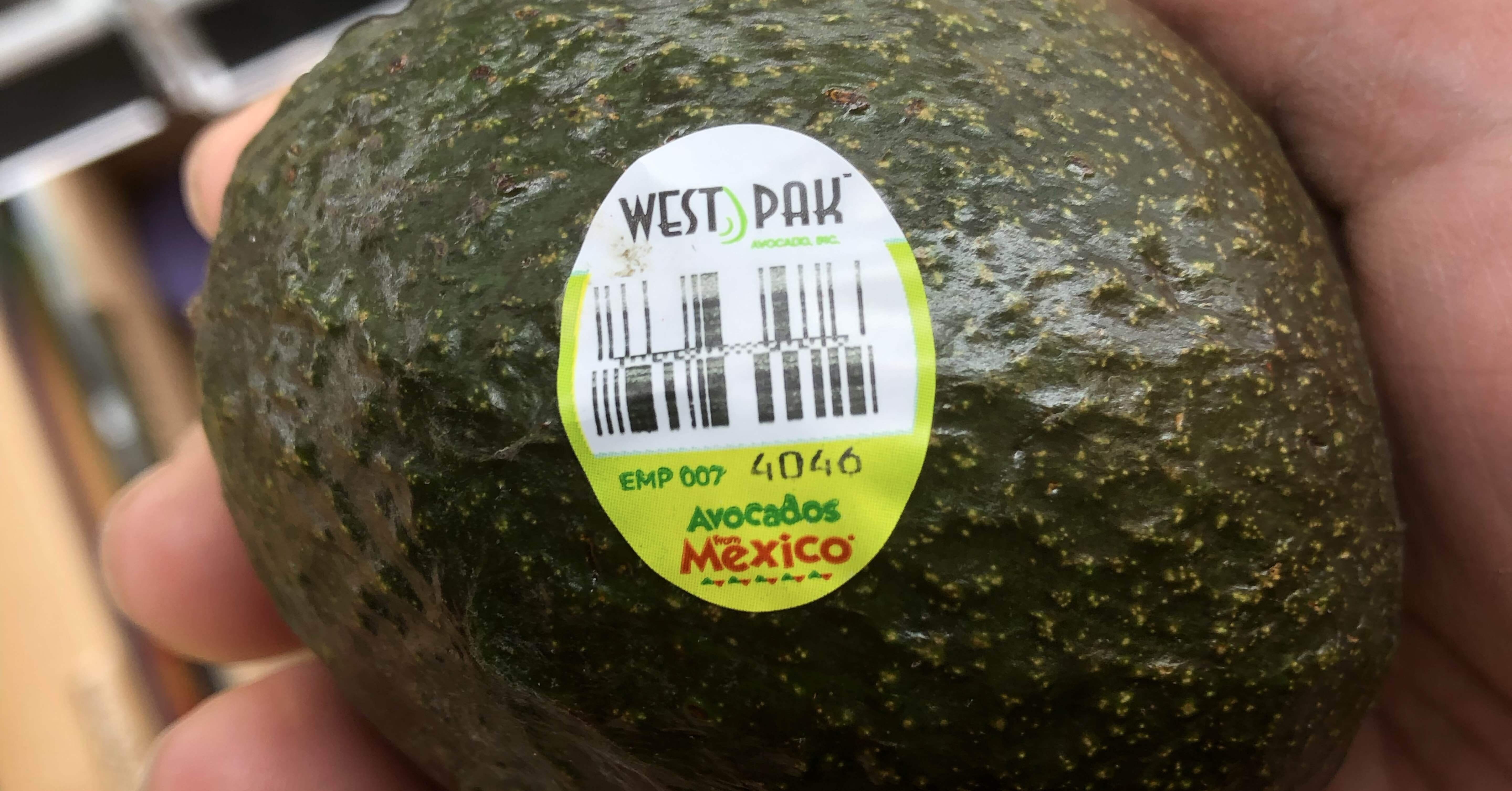 91f65c1a1f7bbc2fef30fce45039d8