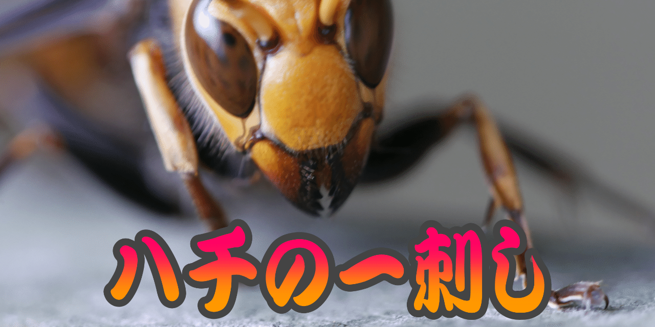 ミツバチ スズメバチでしょ りす ハードボイルド Note