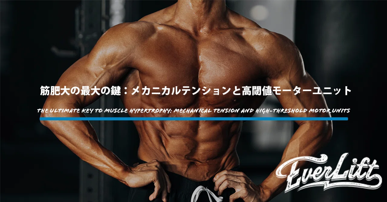 シェイプビート コア5000☆伊藤超短波.□筋肉運動☆筋肉強化 シェイプビート コア5000☆伊藤超短波.□筋肉運動☆筋肉強化