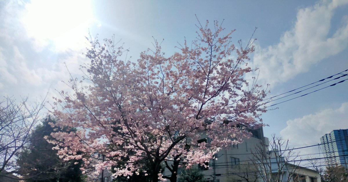 京都　恭子　素人 青木恭子流出 legs japan pussy | My XXX Hot Girl