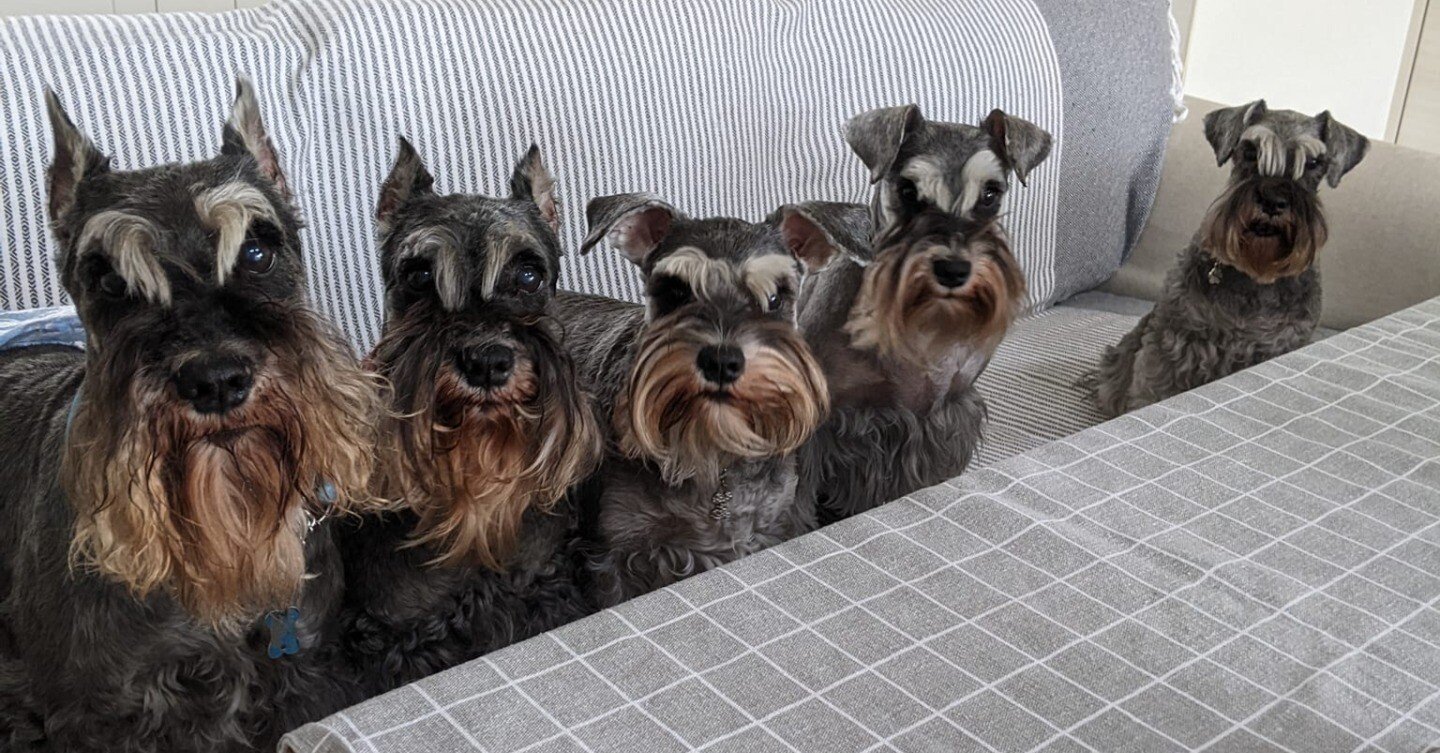 1b6e443fec37190170348966ed273a