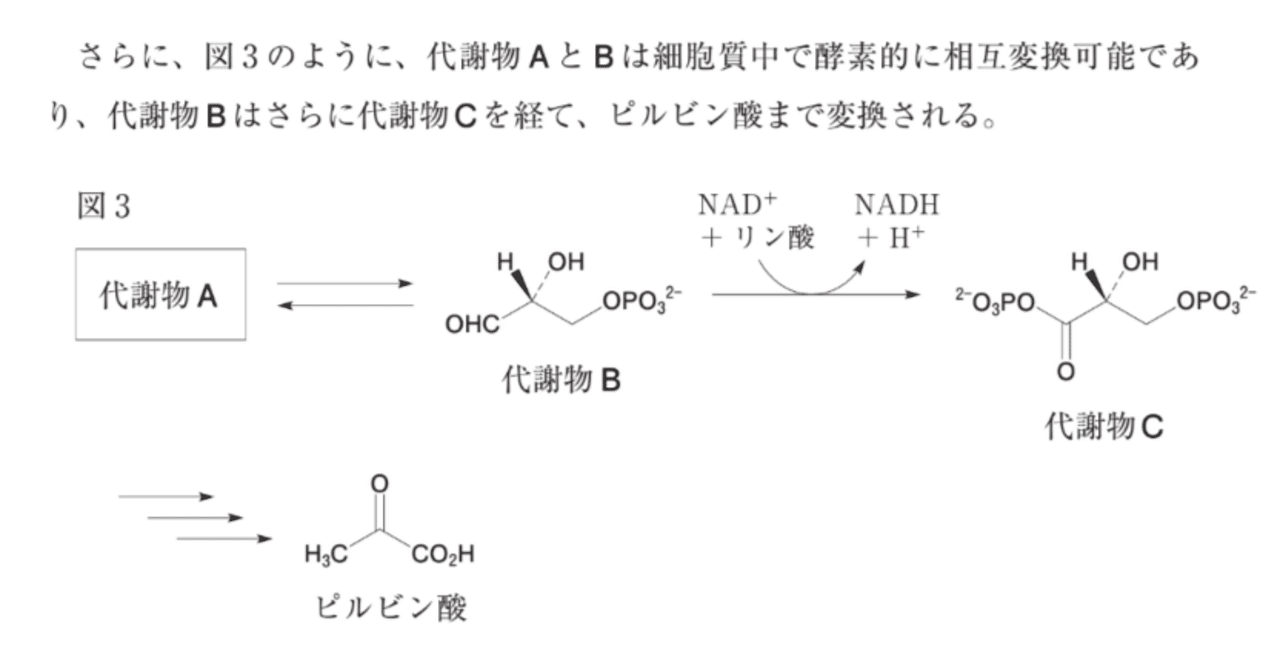 プレイスメントテスト 1 2 薬学ゼミナール 生物 化学 数学 物理 解答 解説