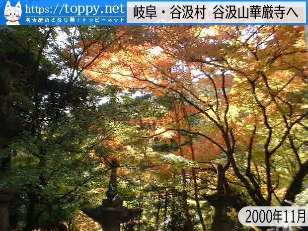 名鉄谷汲線を横目に紅葉の谷汲山華厳寺へ 00 11 あの頃名古屋圏 Toppynet Note 名鉄谷汲線を横目に紅葉の谷汲山華厳寺へ 00 11 あの頃名古屋圏 Toppynet Note