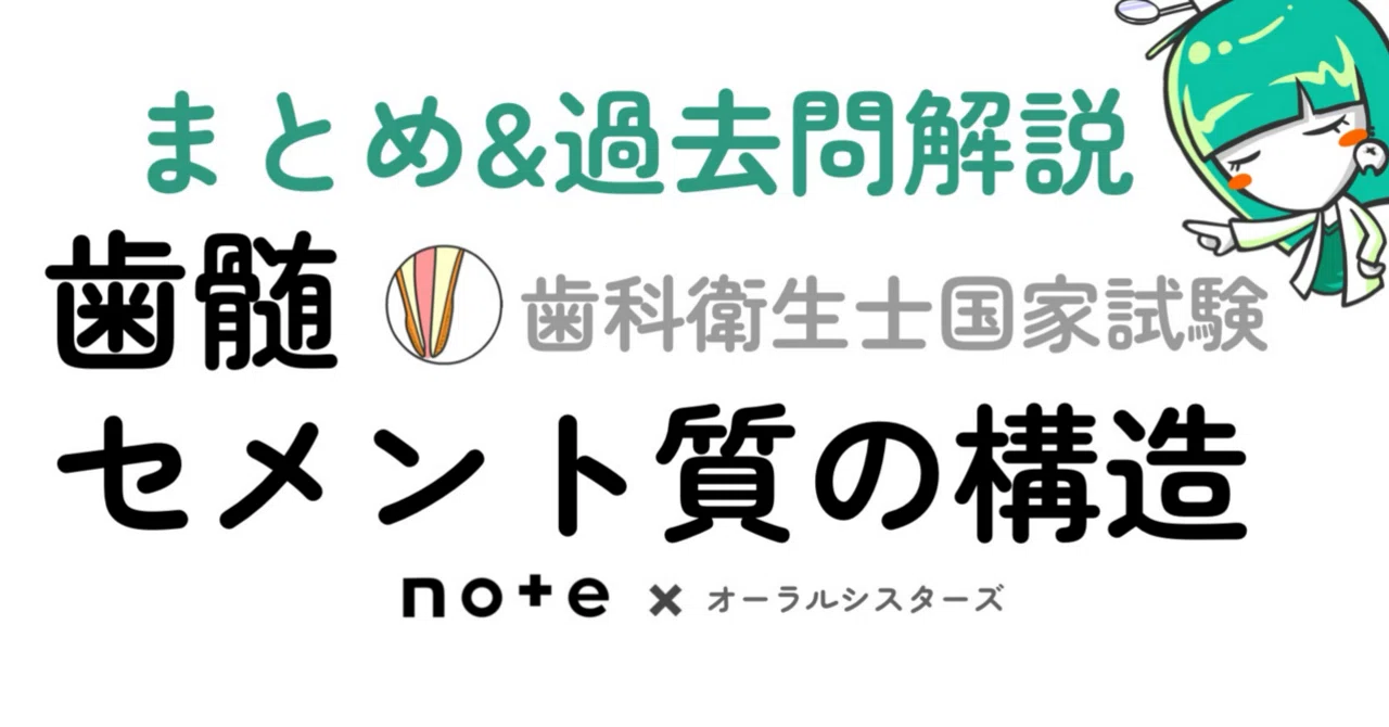 販売終了】歯髄・セメント質PDF📄 歯科衛生士国家試験｜オーラル