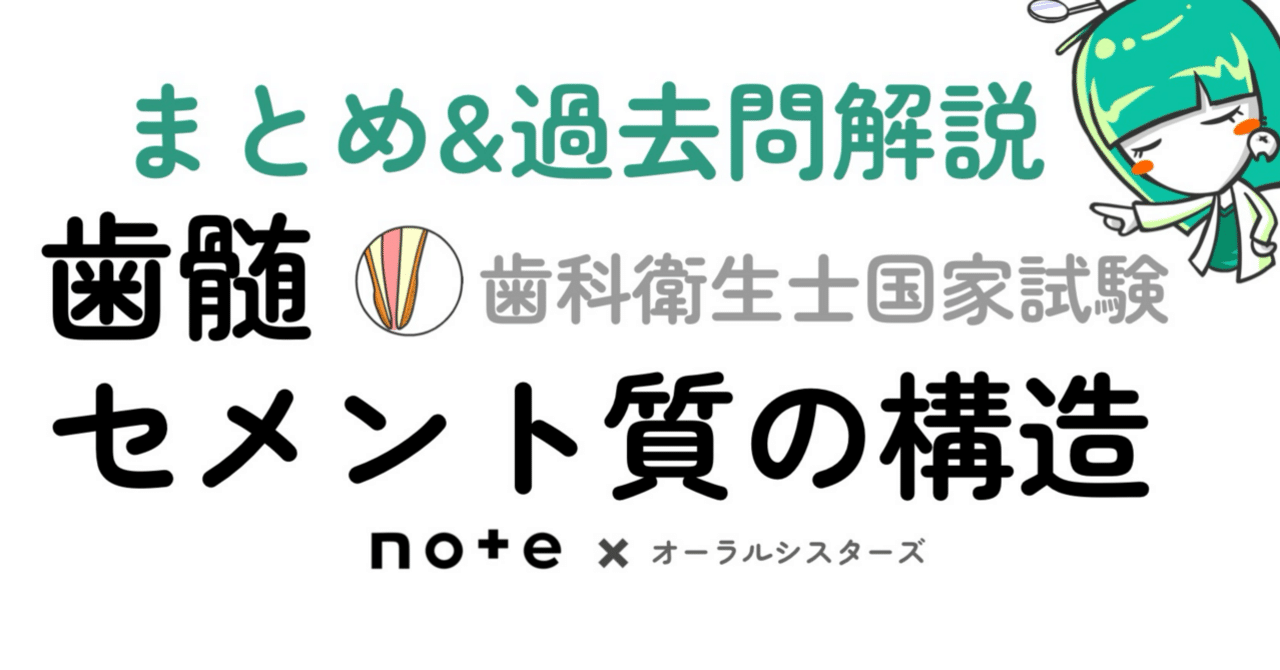 📎まとめ【歯髄・セメント質】PDF📄 歯科衛生士国家試験｜オーラル