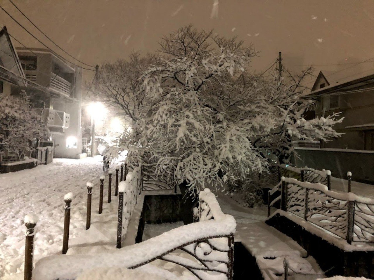 ステマ アナ雪