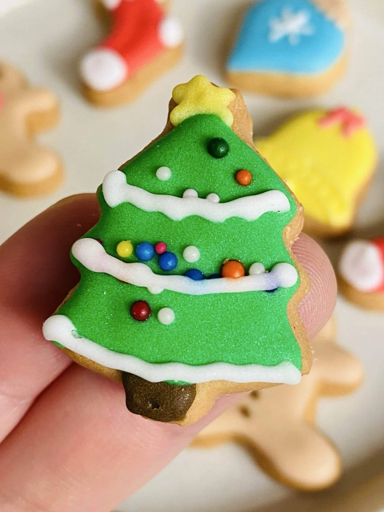 クリスマスモチーフのアイシングクッキー🎄｜Tamara