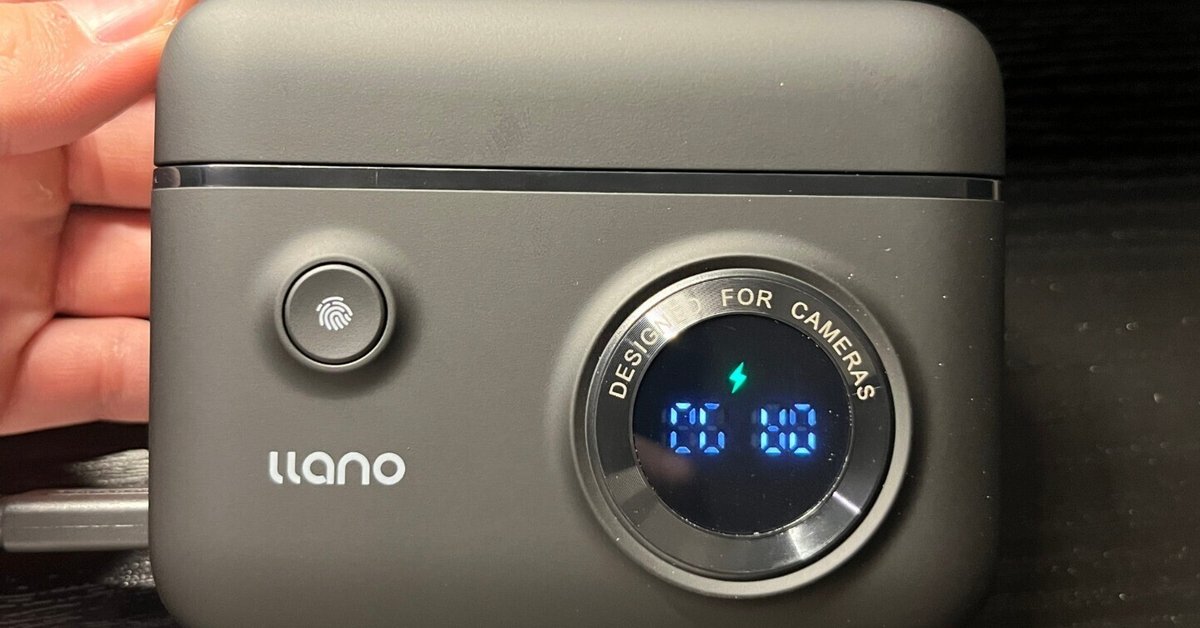 llano NP-FZ100 充電器 カメラバッテリー チャージャー PD (バッテリー