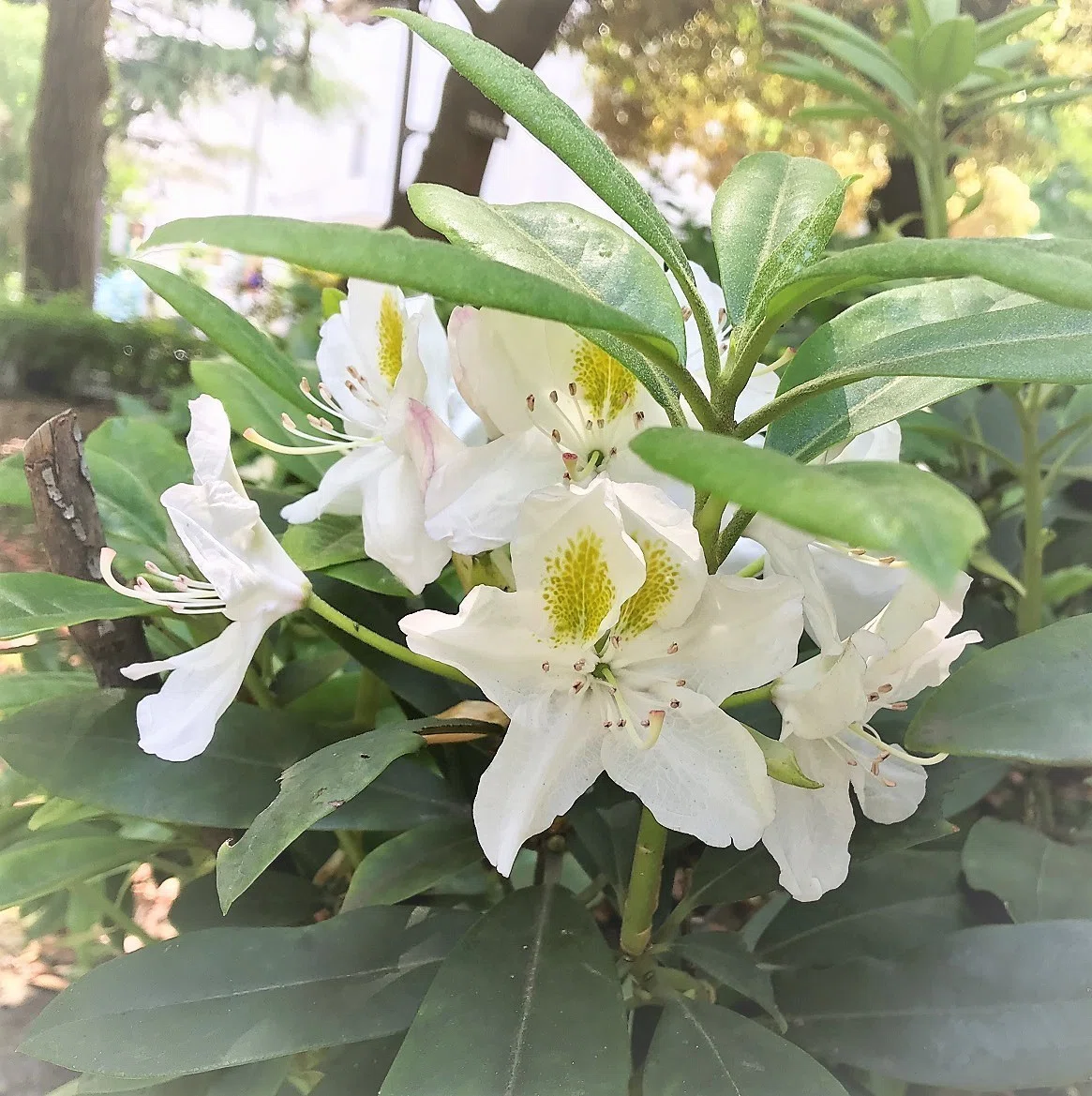 画像15