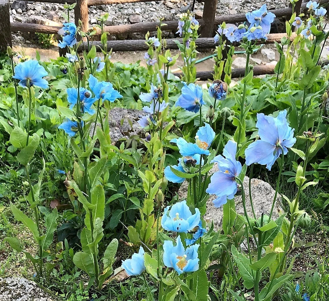 画像6